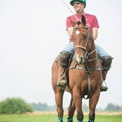Henri du Toit's photo