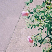 Bonnie Robin's photo
