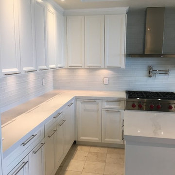 Toronto Contemporary Condo Remodel