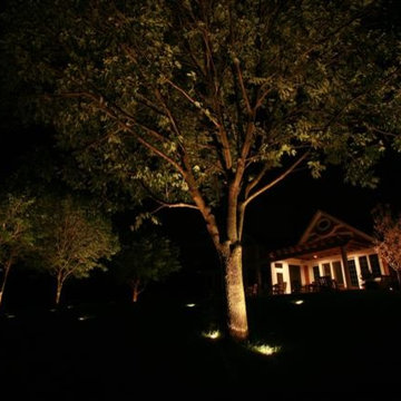 Landscape Lighting