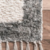 Hand-Loomed Southwestern Tassel Flatweave Shag Cotton Area Rug, Ivory, 4'x6'