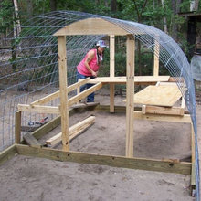 chicken coop