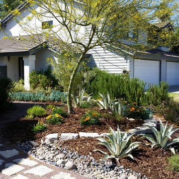 Sustainable front yard, recycled materials