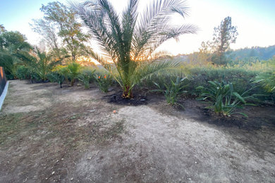 Landscaping & Planting Work