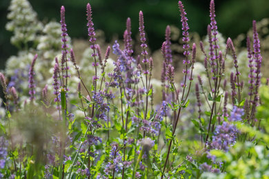 Inspiration for a large contemporary back xeriscape garden in Surrey.
