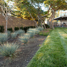 Yard Fence