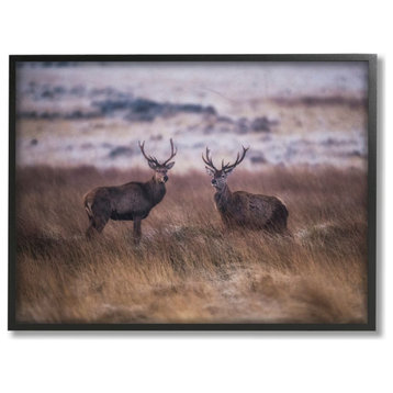 Deer Couple Family Animal Landscape Photo, 24"x30"