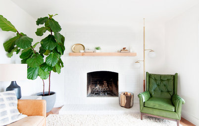 USA Houzz: A Minimalist Revamp Brings a Dark Home Into the Light