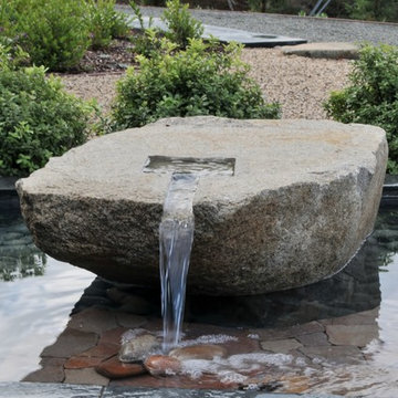 Contemporary garden