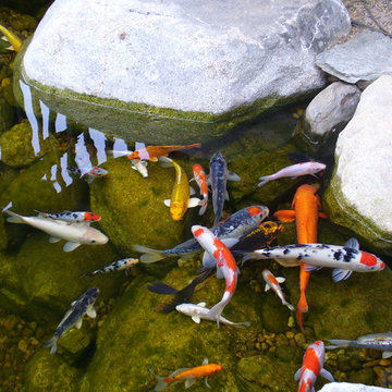 water feature