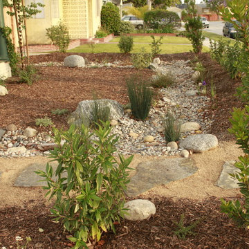 Venice Dry Creek