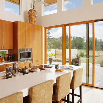 Phantom Retractable Screen Doors