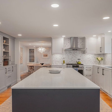 Entertainment Centric Transitional Kitchen in Cambridge, MA