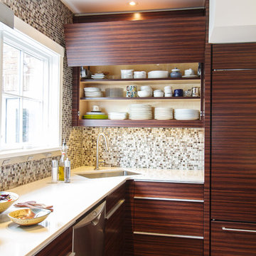 Contemporary Kitchen Renovation