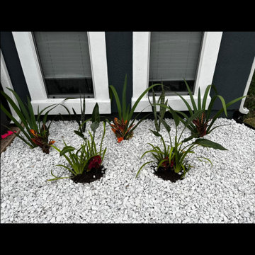 Therapeutic Landscaping