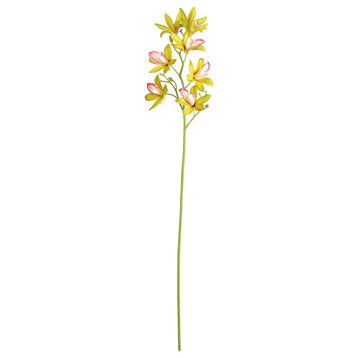 32" Green Orchid Stem 6/Pk