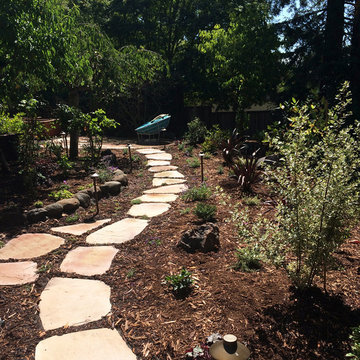 Lose the Lawn - Kentfield, CA - Alternative Ideas