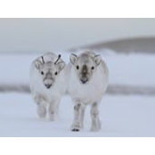 Kathryn Jolly's photo