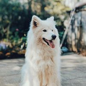Aaron Landers's photo