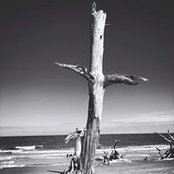 Jennifer Brinson's photo
