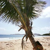 Angeli de Leon's photo