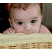 AJ Ziegler's photo
