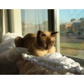 Dearne Murray's photo