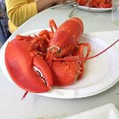 Mary Ann Moman's photo