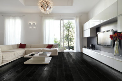 Living room - contemporary living room idea in San Francisco