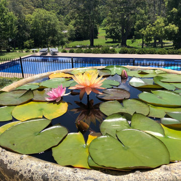 BDAA National Design Awards 2019 - Landscape design