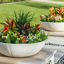 Front Landscape
