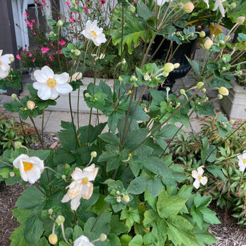 Garden Design in Time for a Wedding