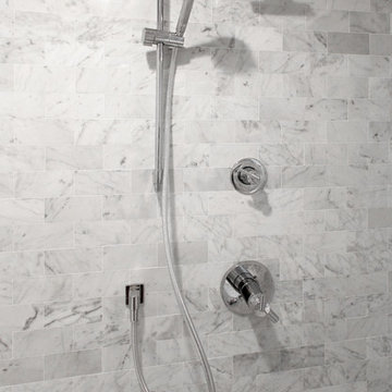 Delta Dual Shower Head and Handheld