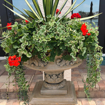 Transformed- Mediterranean style urns