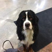Mike Nawrot's photo
