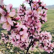 Maral-Erdene Enkhbold's photo