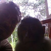 Wade Schuman's photo