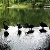 Yumi Kim's photo