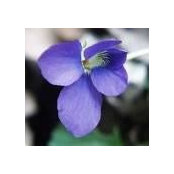 Caren Hemann's photo