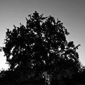 Jason Bedecarré's photo