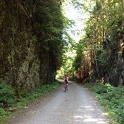 Sylvie Morin's photo
