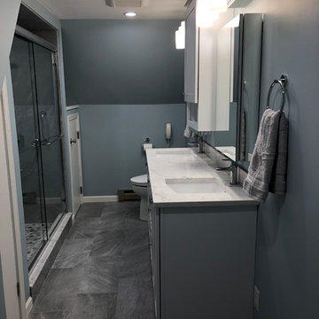 Master and Guest Bath Remodels