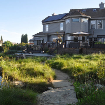 Meadow Stream
