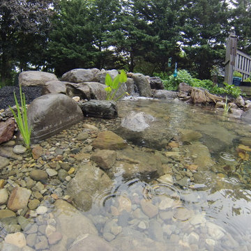 Out with the Old Pond in With The New