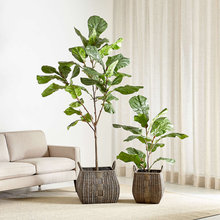 decor