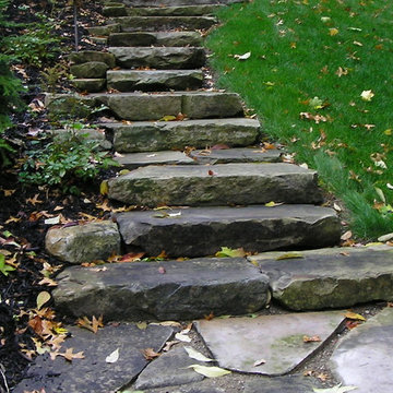 Steps