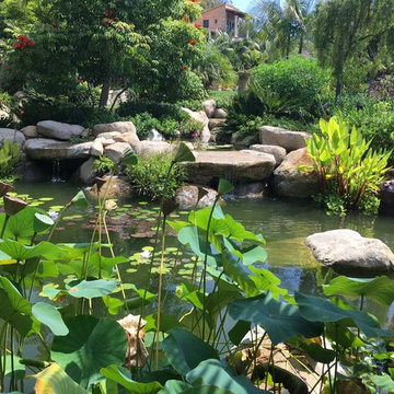 Garden Ponds