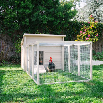 Chicken Coop for Urban Farming