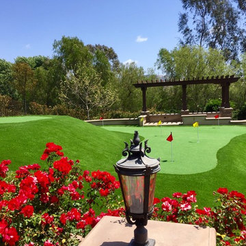 Artificial Turf