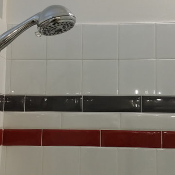 Transitional Bath - Convert Tub to Shower Reno